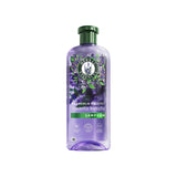 SAMPUAN LAVANTA 350ML