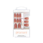 Gül Kurusu Takma Tırnak Kiti