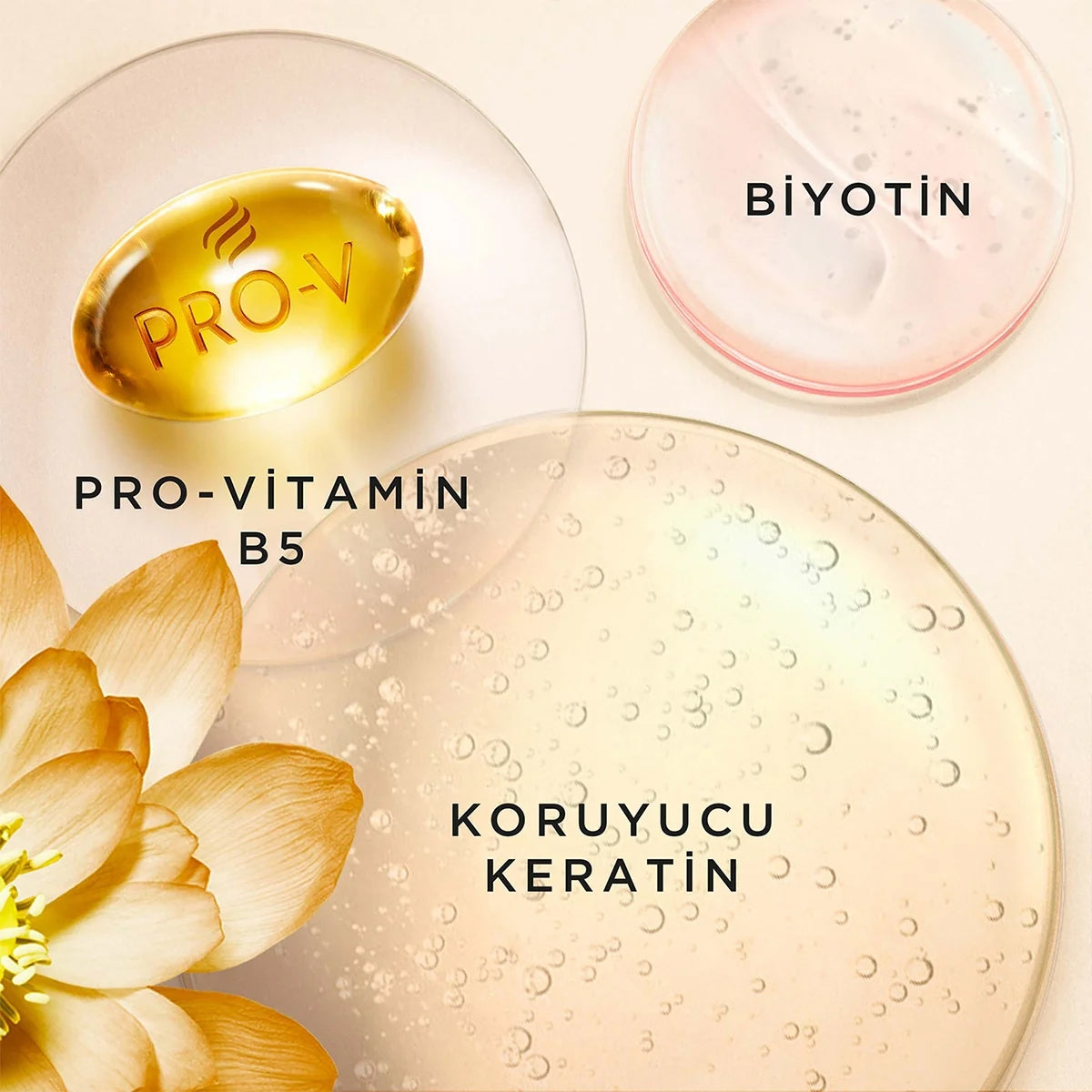 Pro-V Miracles Frizz No More Kıvırcık Saçlar İçin Şampuan 325 Ml