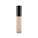Kapatıcı Perfect Coverage 02