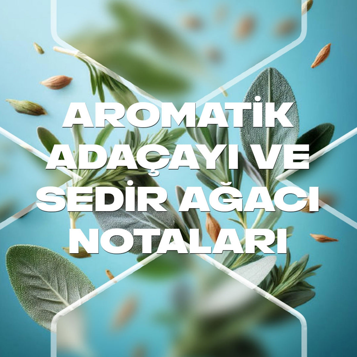 Apollo Erkek Deo Sprey 150 ML