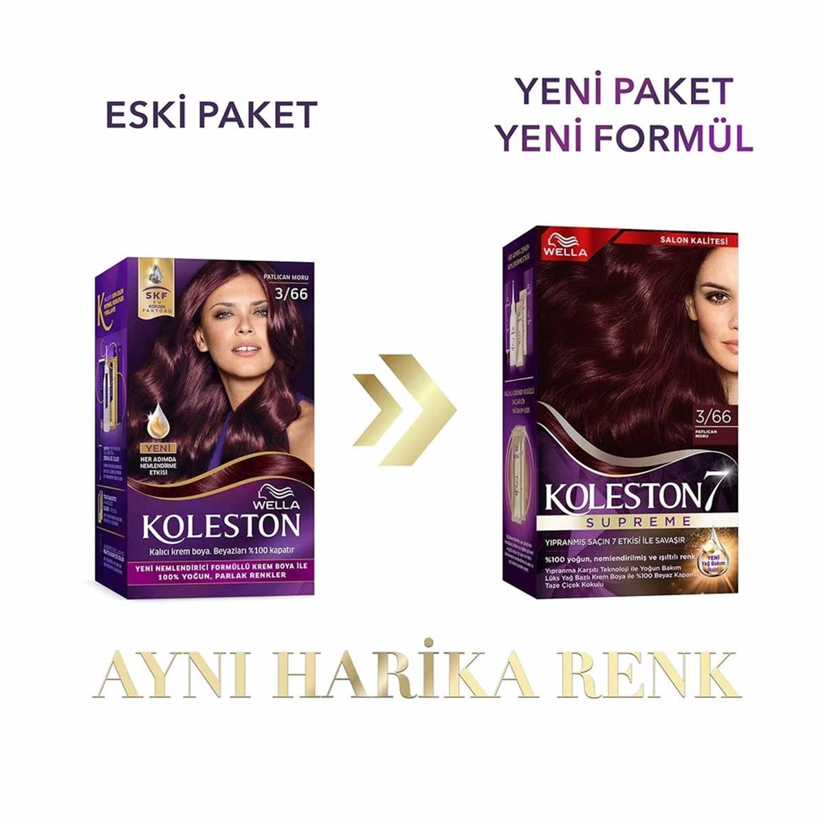 Saç Boyası Patlıcan Moru 3-66