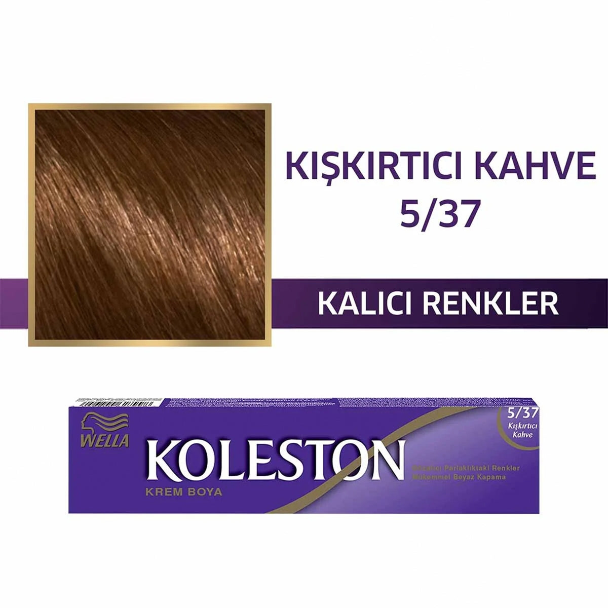 Tüp Boya Kışkırtıcı Kahve 5-37




