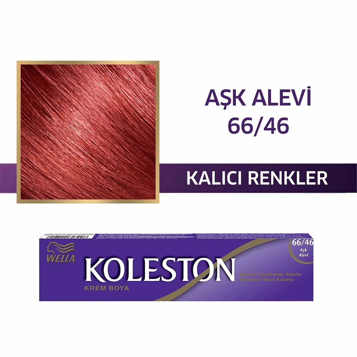Tüp Boya Aşk Alevi 66-46




