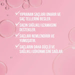 Şampuan Onarıcı Bakım Kuru Ve Yıpranmış Saçlar 500 ml




