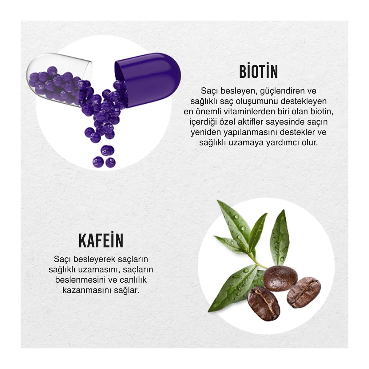 Expert Serisi Biotin ve Kafein Şampuan 350 ml