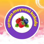 Geleceğin YıldızlarıKöpük Sabun Orman Meyveli 200 Ml