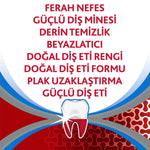 Diş Macunu Tam Koruma Ferahlık 75 ml