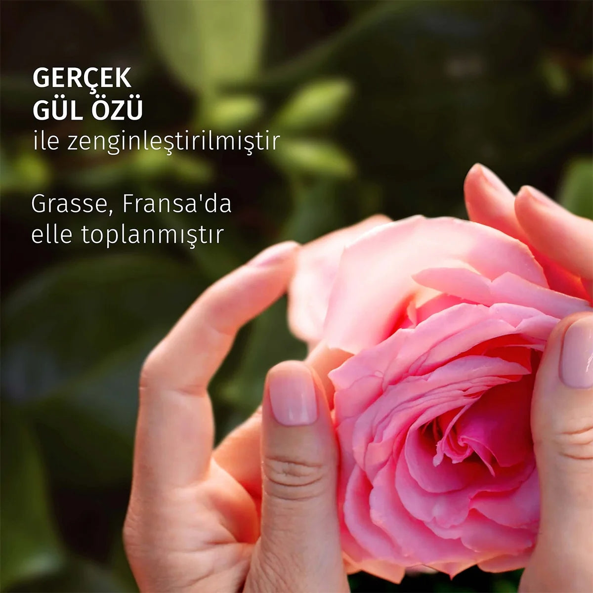 Maske Saç Bakım Gül 300 Ml




