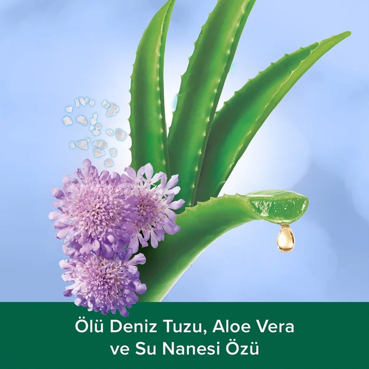 Aroma Sensations Feel The Massage Peeling Etkili Duş Jeli 750ml




