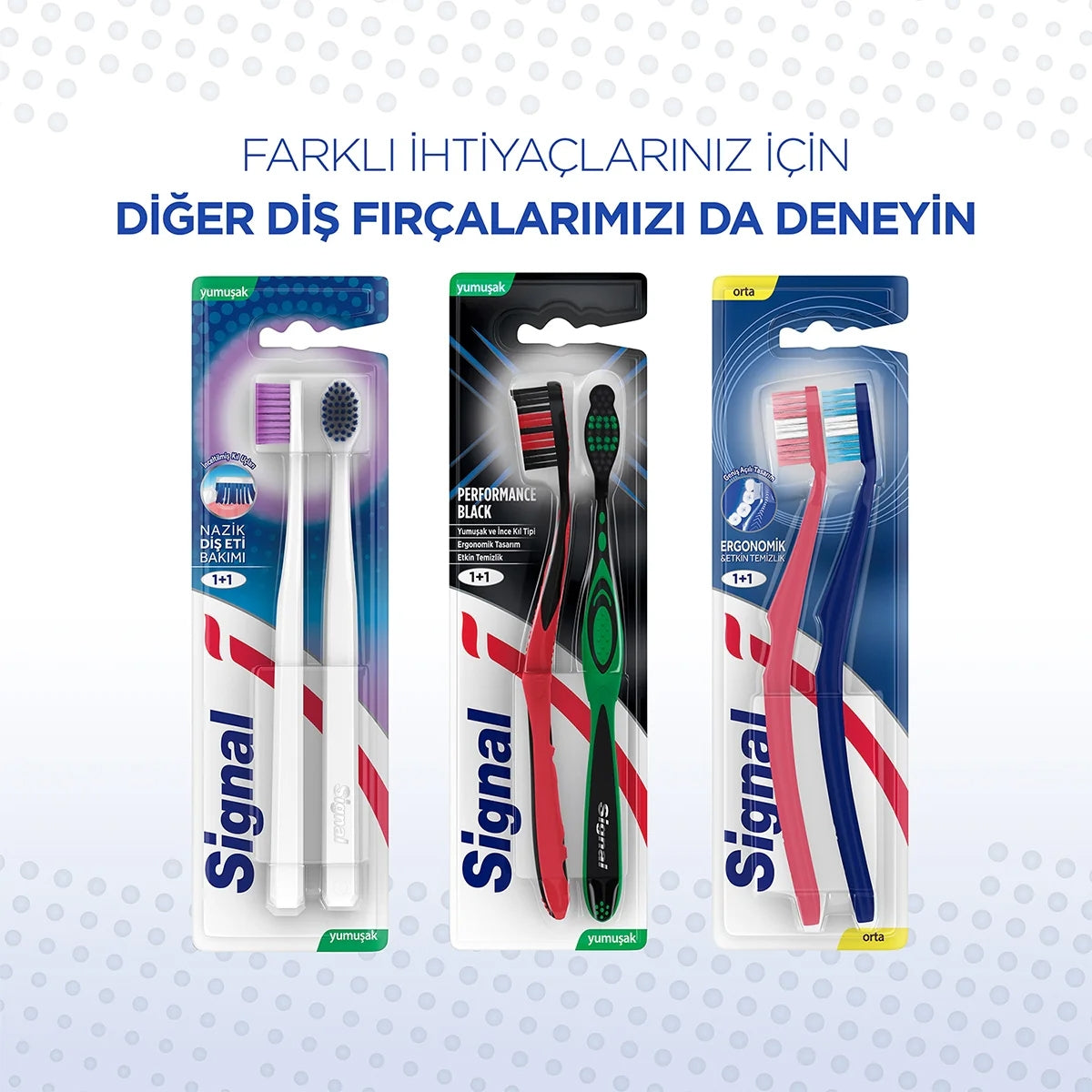 Diş Fırçası Performance 2+1
