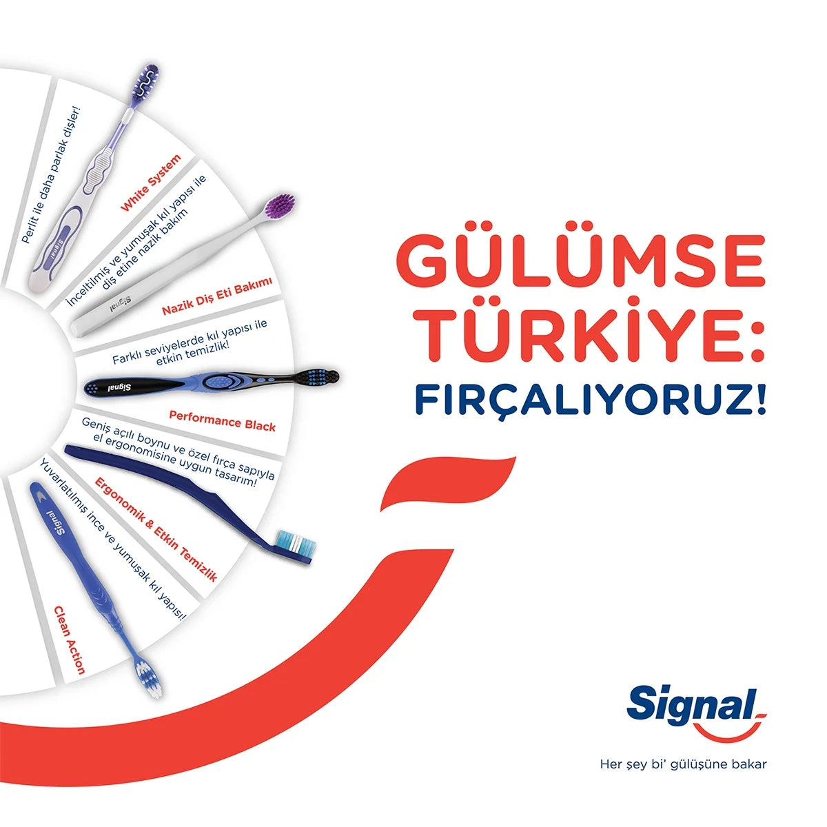 Diş Fırçası Performance 2+1
