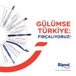 Diş Fırçası Performance 2+1
