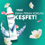 Bayan Deodorant Sprey Shower Fresh 200 ML