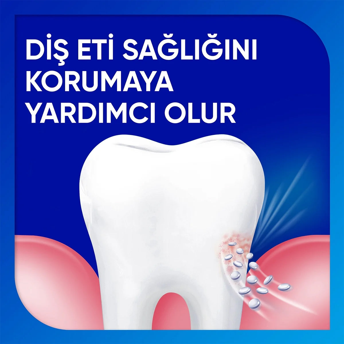 Hassasiyet ve Diş Eti Beyazlatıcı Diş Macunu 75 ml