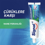 Diş Macunu Beyaz Güç Nane 100 ml