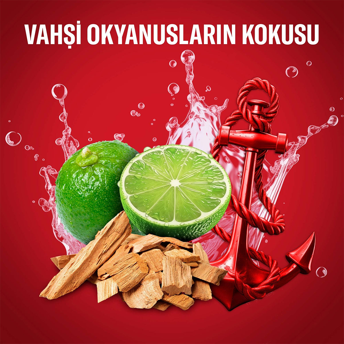 Erkek Stick Captain 70 ml