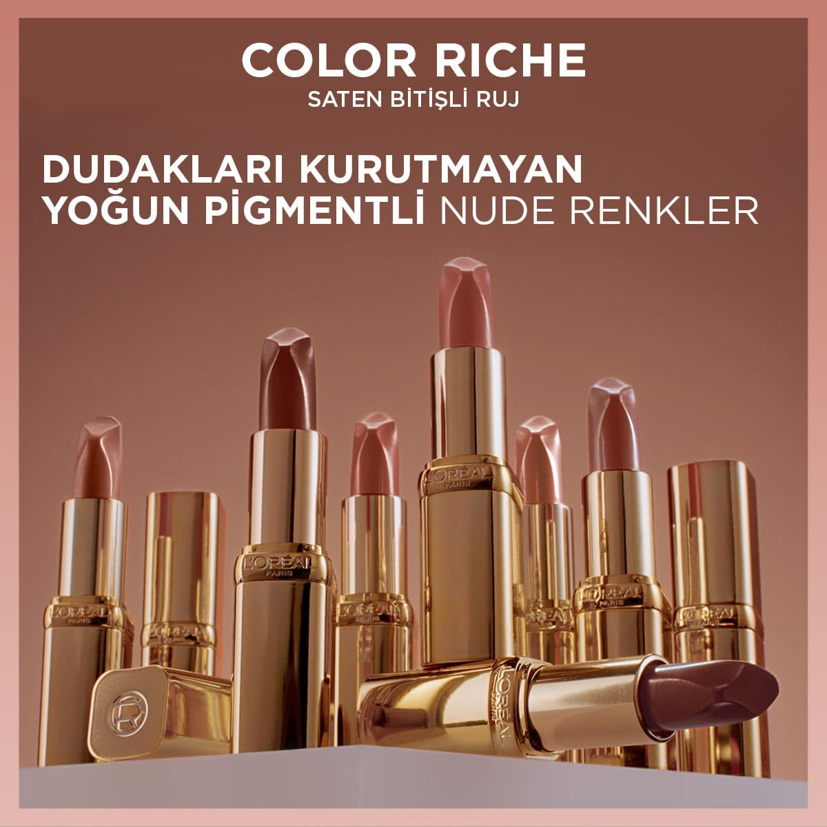 Color Rıch Ruj-110 Made In Parıs