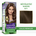 Saç Boyası Büyüleyici Kahve 6-1