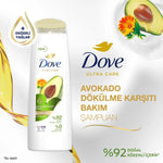 Avokado ve Kalendula Özlü Şampuan 400 ml
