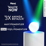 Diş Macunu White Now Sensitive 75 ml