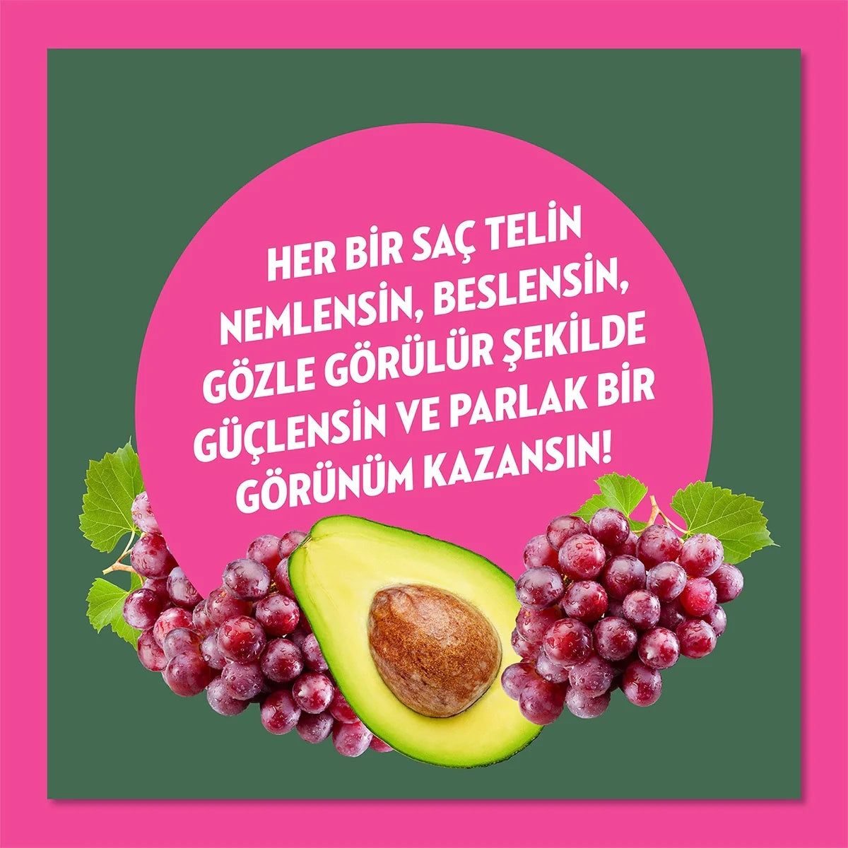 Avokado ve Üzüm Çekirdeği Yağlı  Şampuan 400 ml