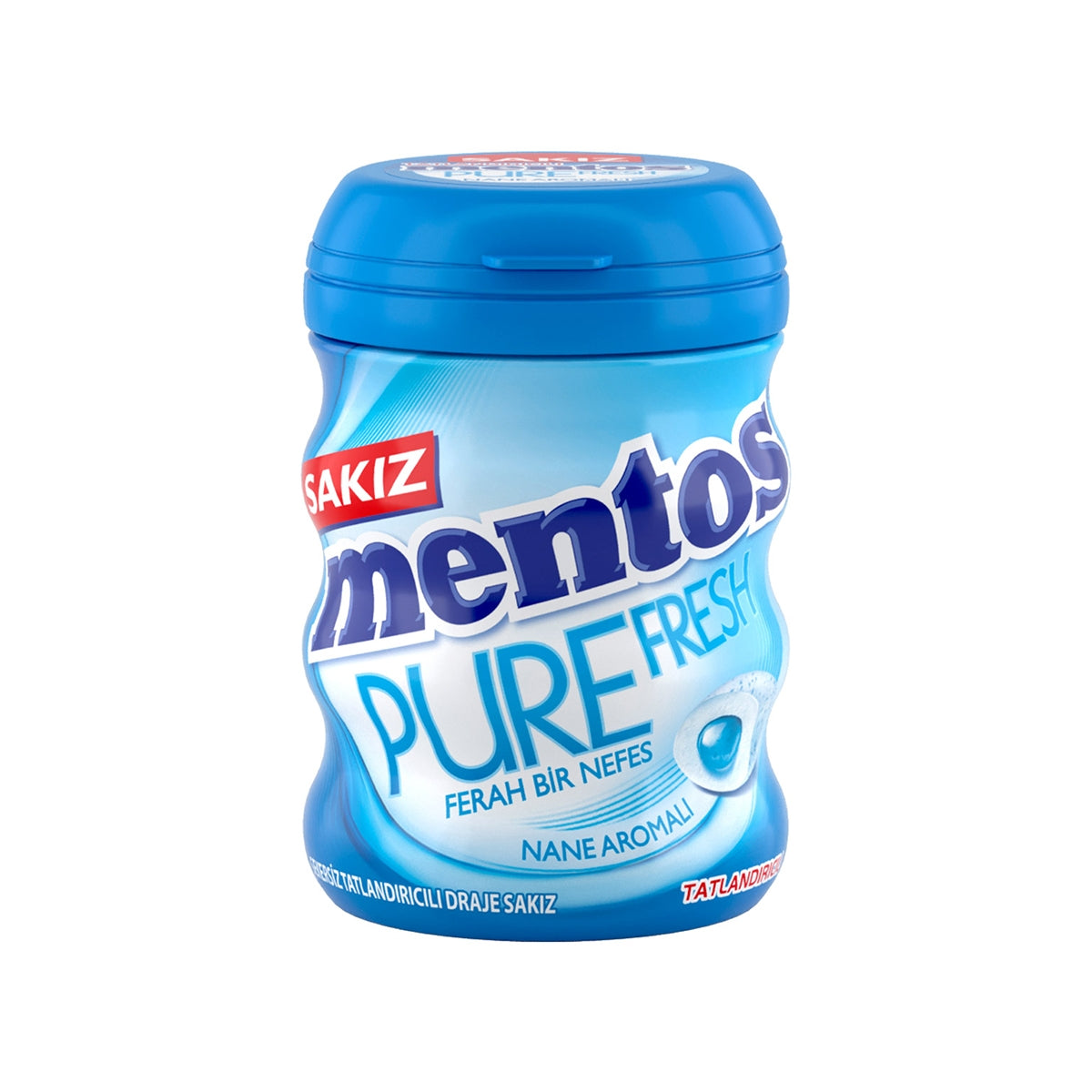 Pure Fresh Nane Sakız 60 Gr