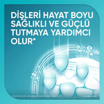 Diş Macunu Promine Aktif Diş Minesi Kalkanı 75 ml