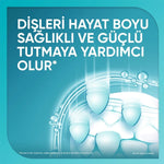 Diş Macunu Promine Aktif Diş Minesi Kalkanı Beyazlık 75 ml