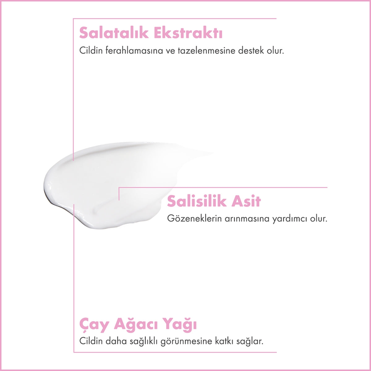 Salisilik Asit + Çay Ağacı Yağı Kil Maskesi 100 ML