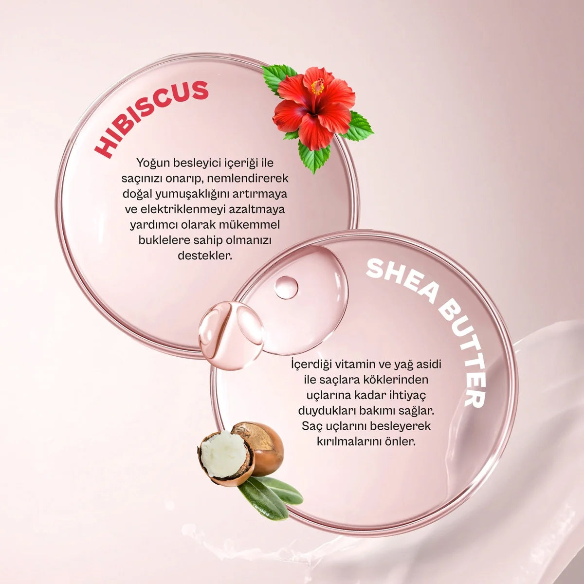 Hibiscus and Shea Butter Şampuan 350 ml