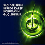 Men Şampuan Halland 350 Ml