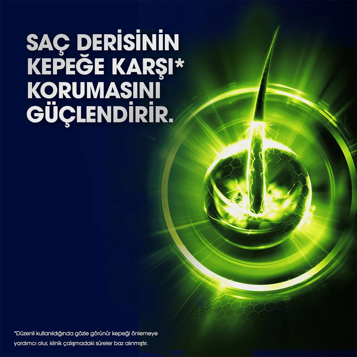 Men Şampuan Halland 350 Ml