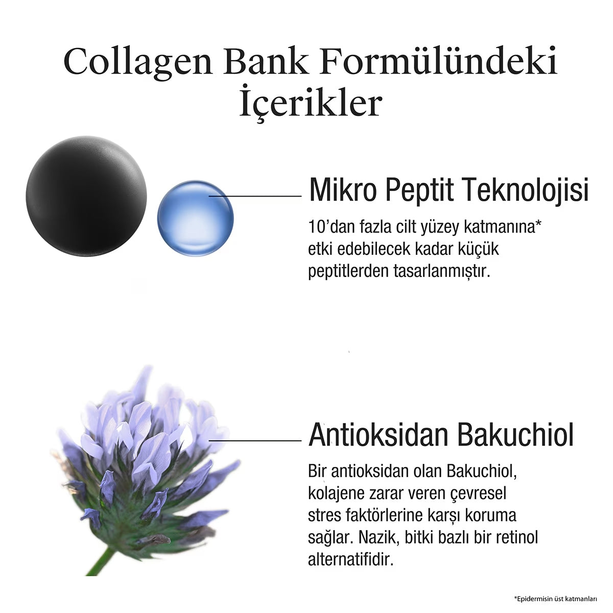 Collagen Bank Nemlendirici Gece Kremi 50ml
