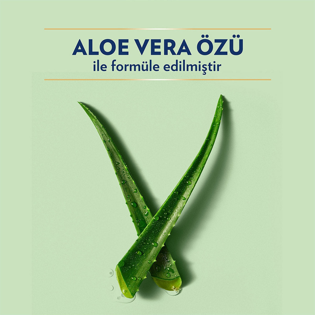 Aloe Vera Vücut Losyonu 400 ml