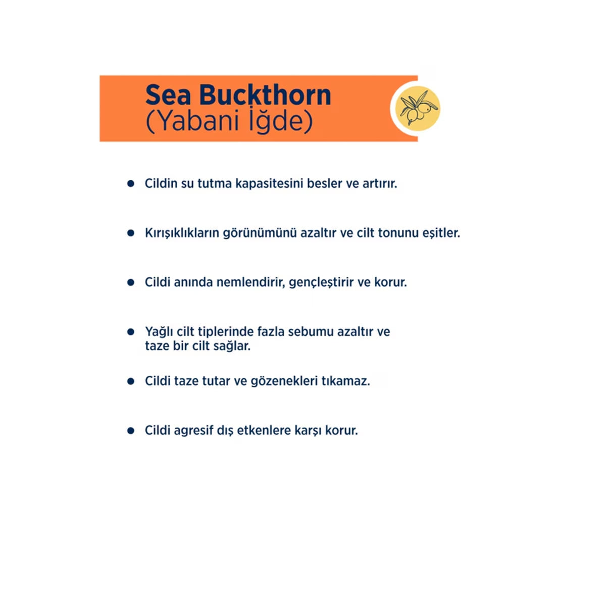 Sea Buckthorn Micellar Makyaj Temizleme Suyu Yağlı/Karma Ciltler 400 ml