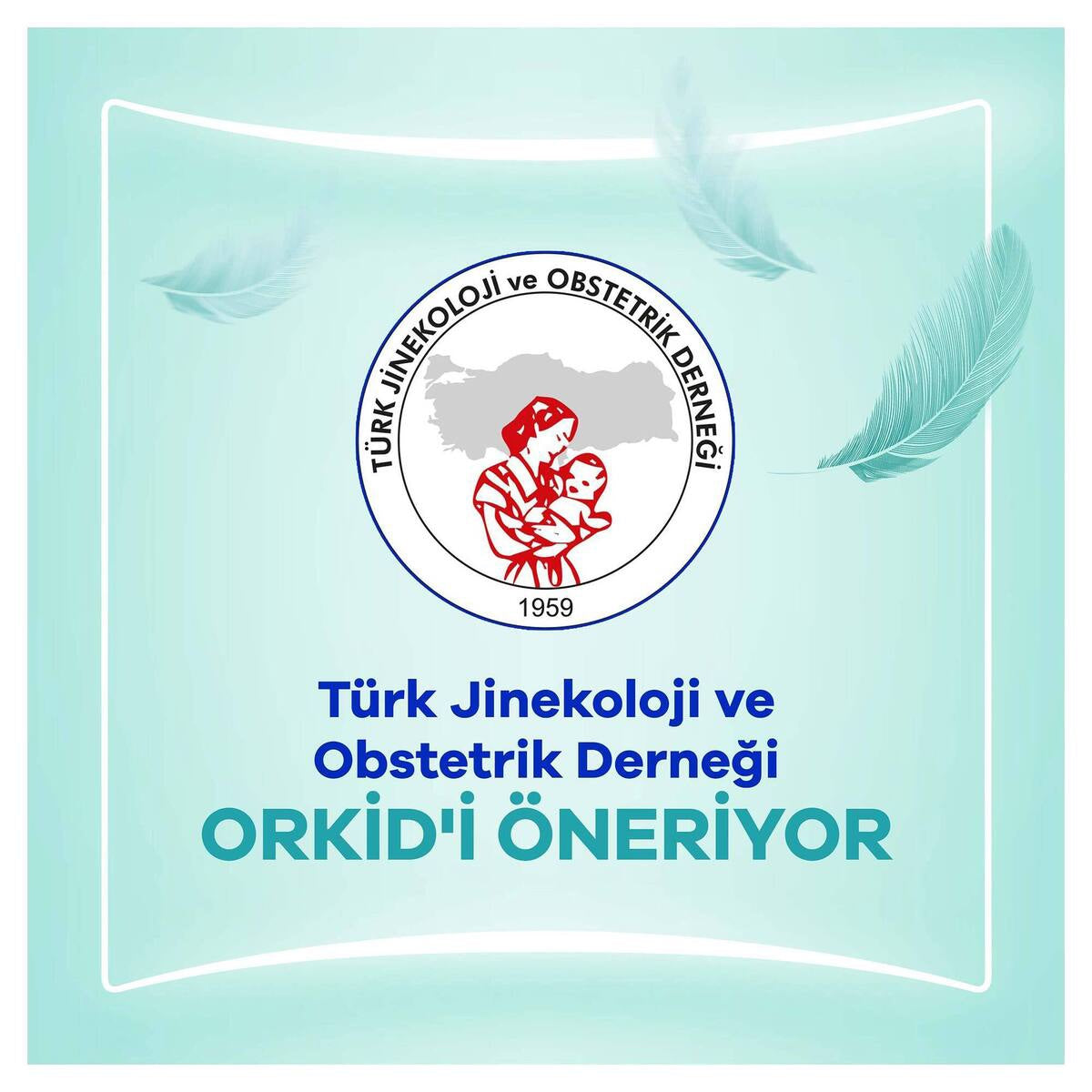 Ekstra Hassas Koruma Normal Hijyenik Ped 24 Adet