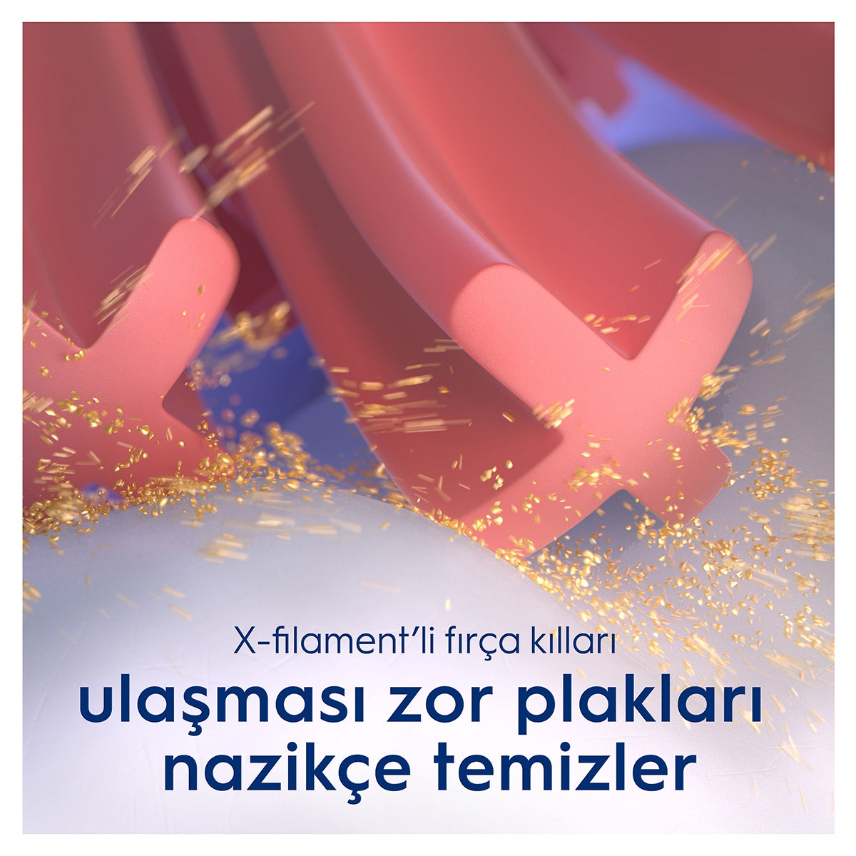 Diş Fırçası