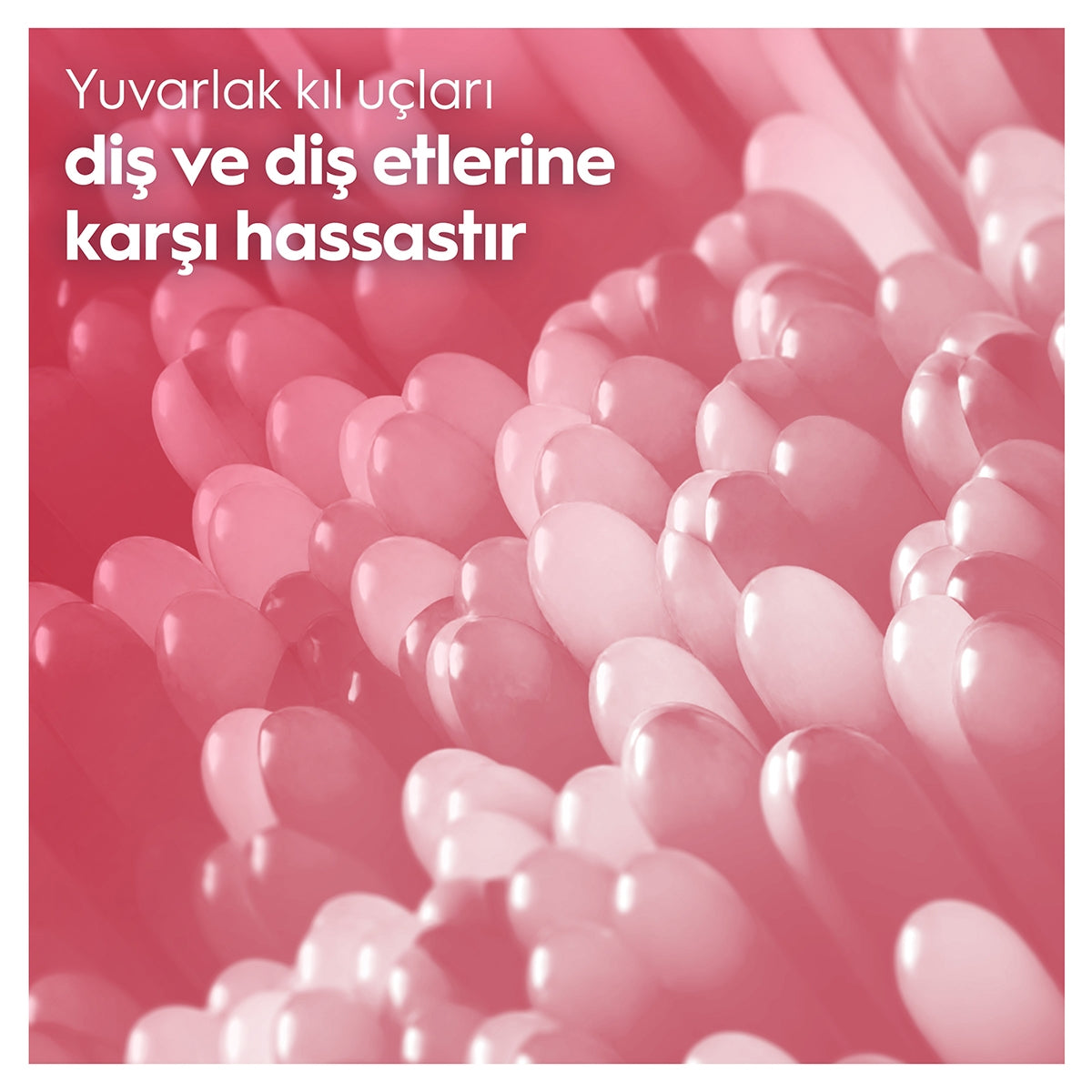 Diş Fırçası