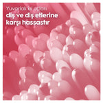 Diş Fırçası