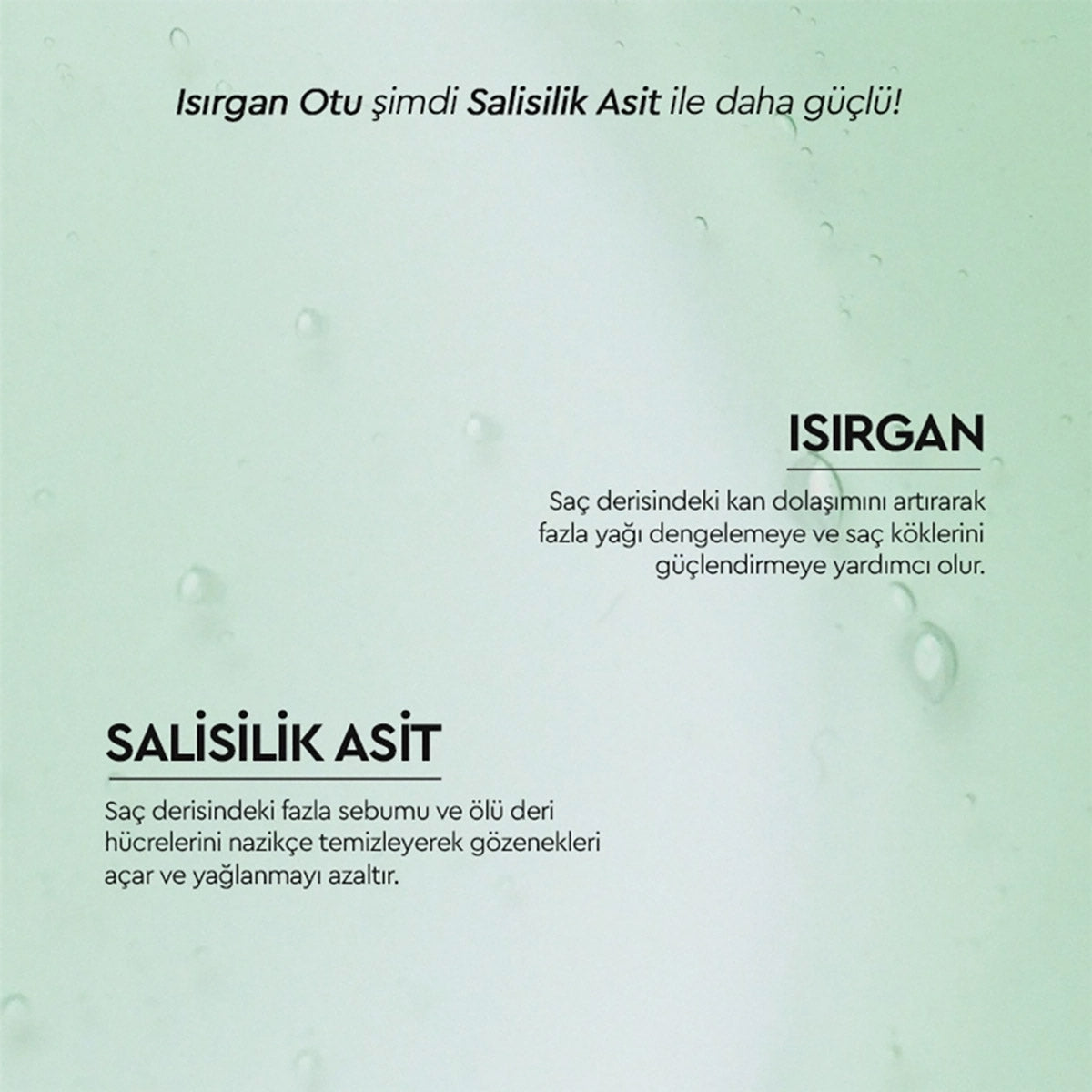 Şampuan Yağlanma Karşıtı 375 ml