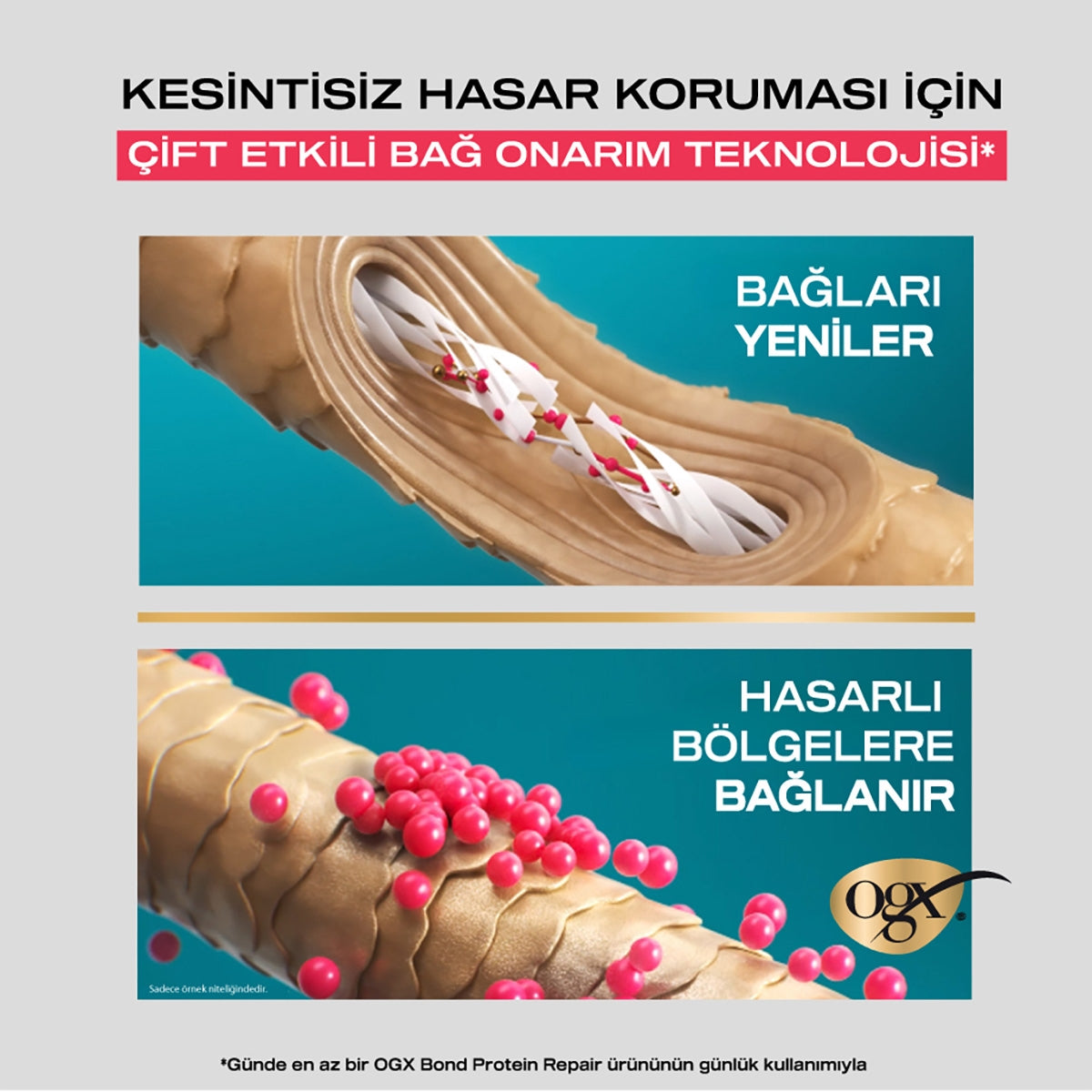 OGX Şampuan Bond Protein Repair 385 ml