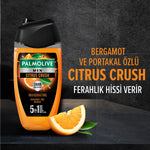 Erkek Duş Jeli Citrus Fresh 250 ml