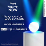 Whıte Now Seyahet Seti