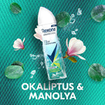 REXONA KADIN DEO EUCLYPTS VE MAGNL 150ML