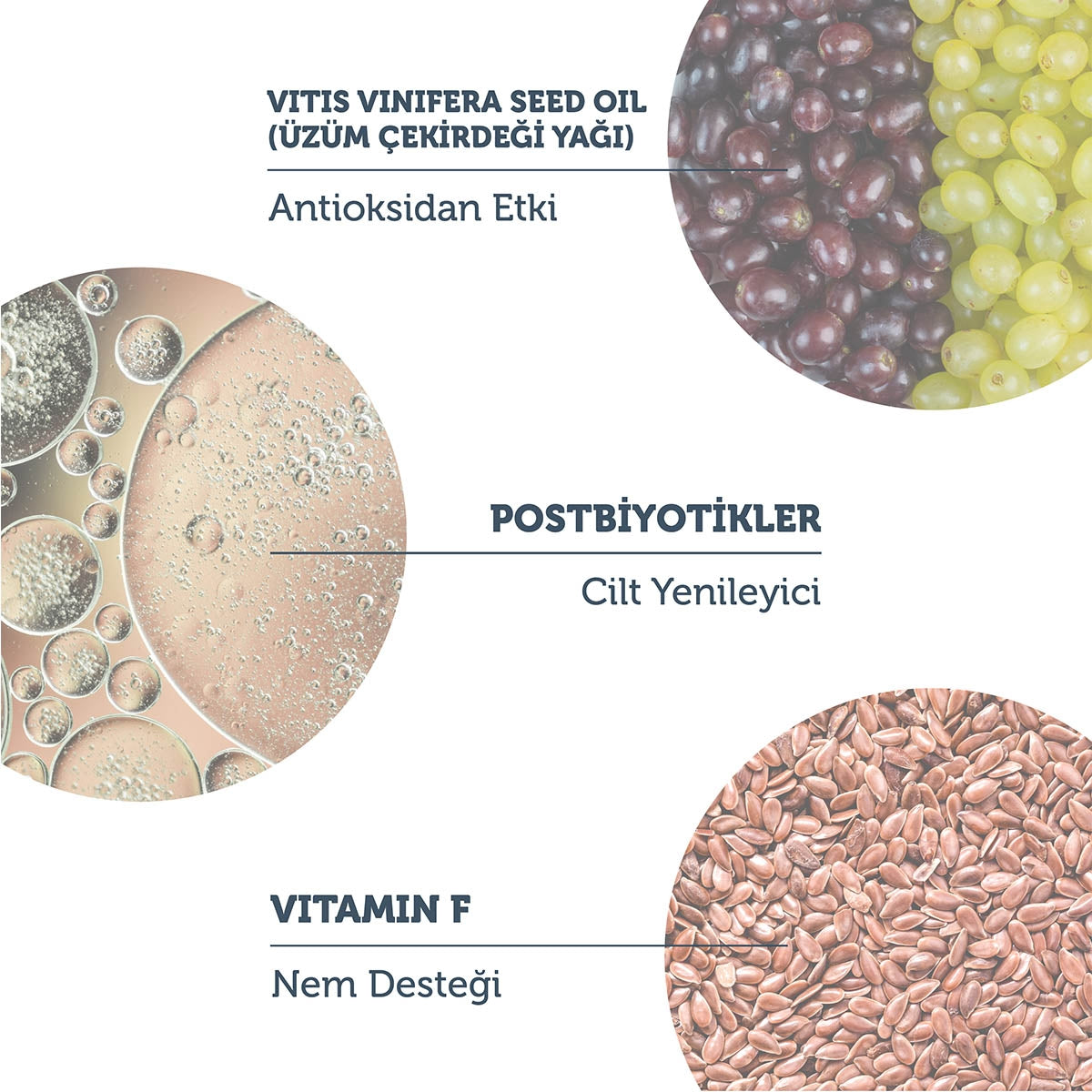 Postbiyotik İçerikli Multifonksiyonel Arındırıcı Temizleme Yağı 150 ml
