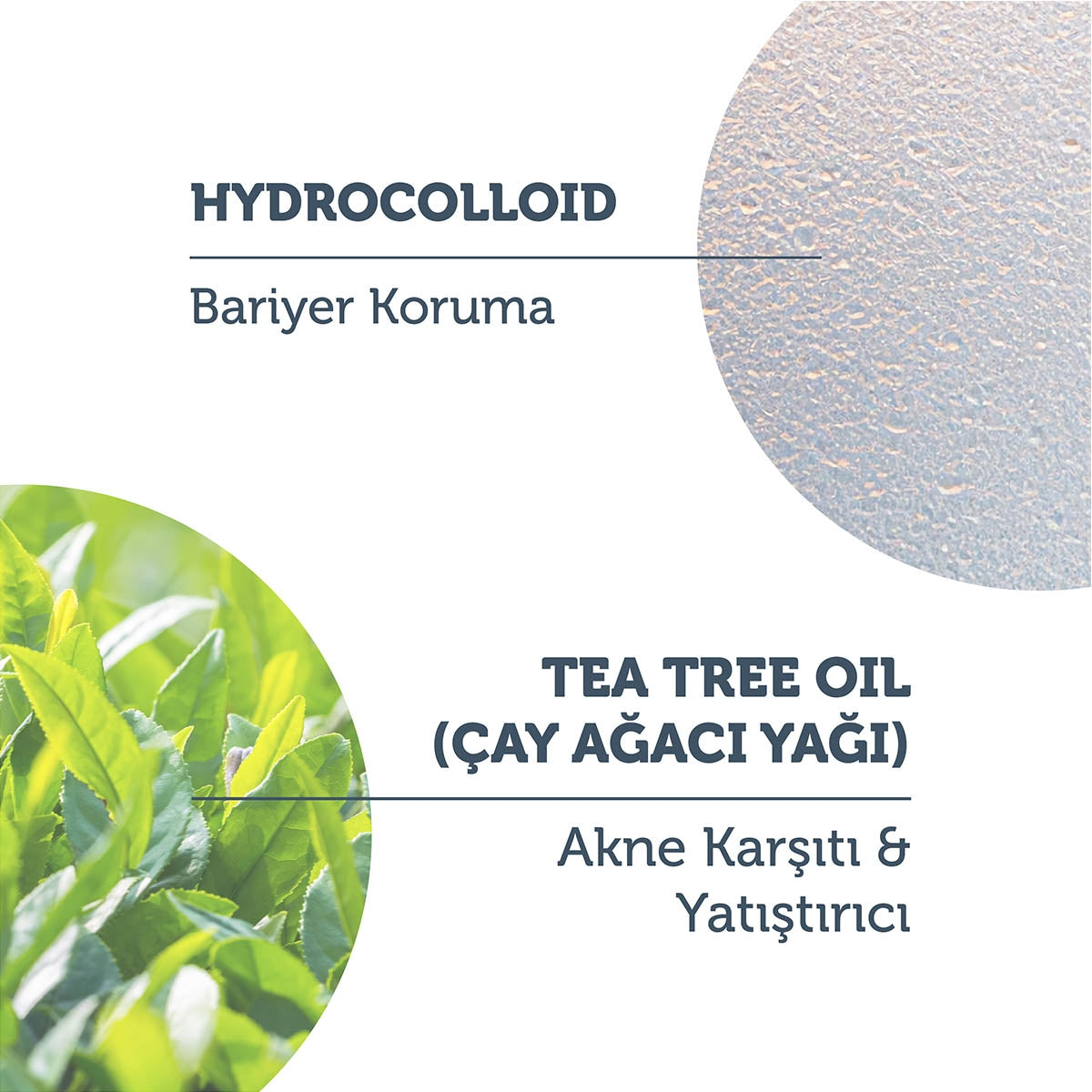 Hydrocolloid Akne Patch 36'lı