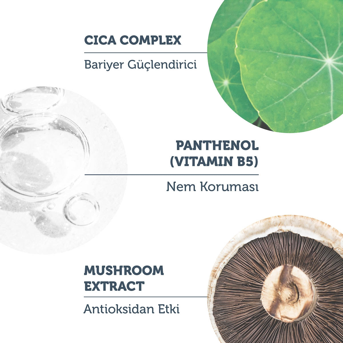 Bariyer Onarıcı Cica Serum 30 ml