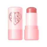 Dewy Stick Allık PP01