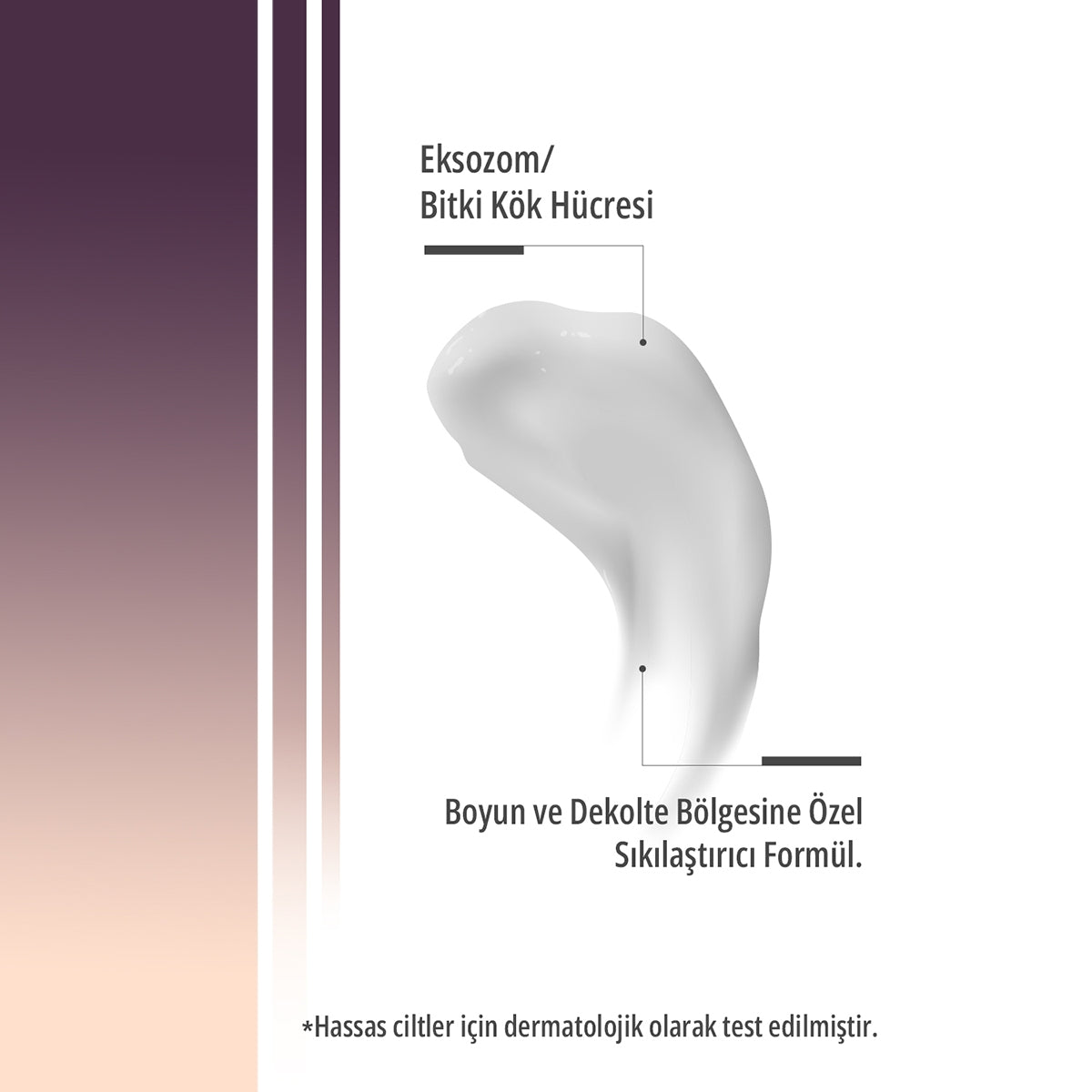 StemAge Sıkılaştırıcı Boyun ve Dekolte Eksozom Kremi 50 ml